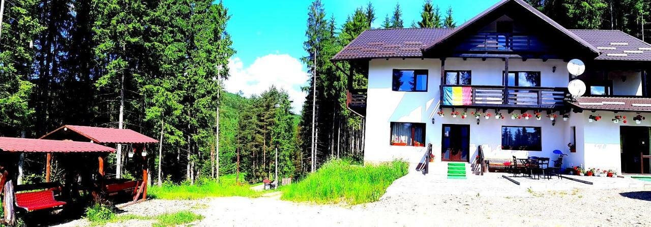 Pensiunea Vatra Bucovinei Vatra Moldoviţei 外观 照片